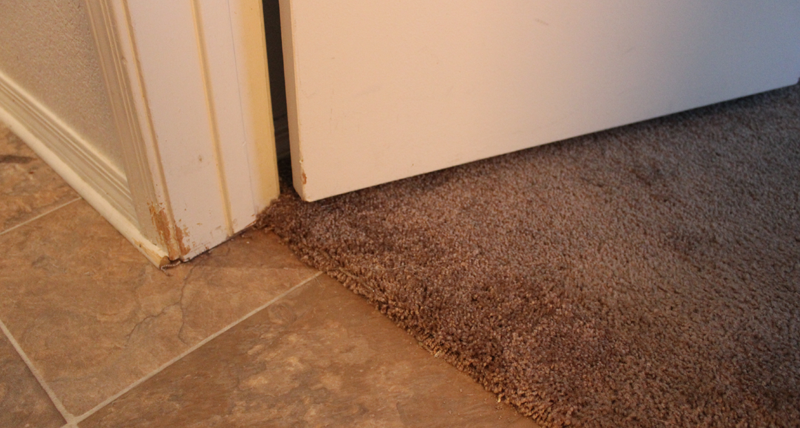 Carpet Repair Charlotte Carpet Repair & Cleaning